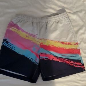Chubbies lined athletic sport shorts retro flex